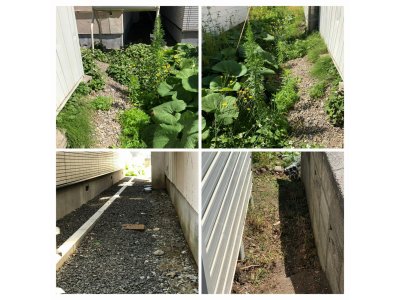 北区篠路草刈草むしり除草剤散布札幌市TAKUMI合同会社便利屋タクミ美園店