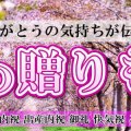 贈りもの・お返しギフト専門店　ハセベギフト㈱/サラダ館山王店