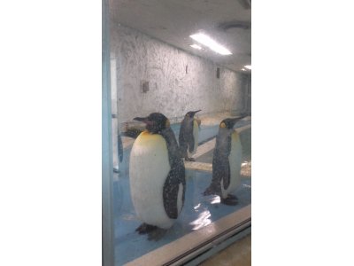 大将のおすすめ☆