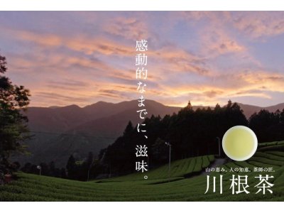4月21日は川根茶の日だそうです。