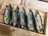 只今、仕込みにおわれてます。
