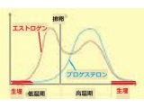 黄体ホルモンと卵胞ホルモンのお話