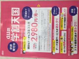 auの学割天国スタート！ ご家族と同時加入で2980円/月～