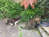 おはようございます。きょうも一日、元気な笑顔で頑張りましょう。