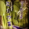 茨城産 小松菜2P ほうれん草1P 水菜2P 各100円