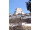 今日も短いですが