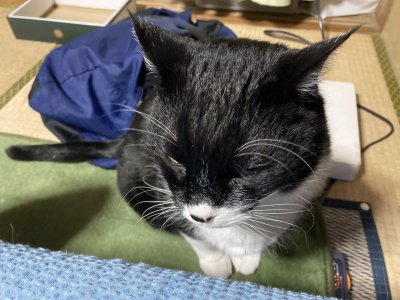 おはようございます。きょうも一日、元気な笑顔で頑張りましょう。