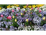 明日(4月7日)は定休日です