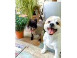 ミニーちゃん&こたろうくん