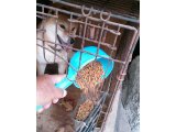 ゴールデンウィークに、沢山のご見学、又ご予約を頂きました。有難うございます。