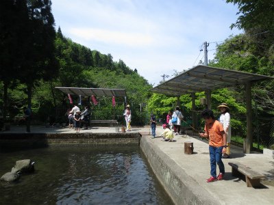 上川養鱒場たより 11月17日
