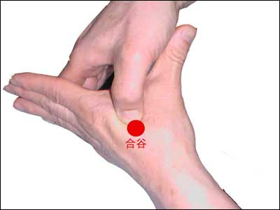 肩こりマッサージ・指圧治療の極意（５）~効果的なツボの押し方とは？