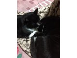 おはようございます。きょうも暖かい笑顔でよろしくお願いいたします。