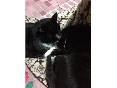 おはようございます。きょうも暖かい笑顔でよろしくお願いいたします。