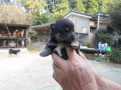 11/16 やっとご見学の、解禁に、成りました。