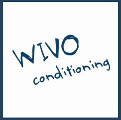 wivo conditioning studio