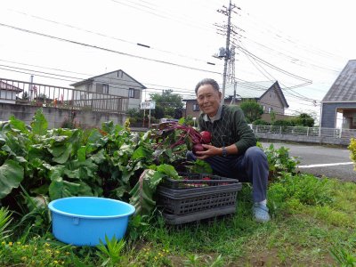 早朝菜園