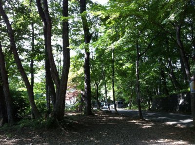 秩父でのキャンプに