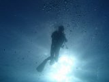 沖縄　ダイビング　プロコース