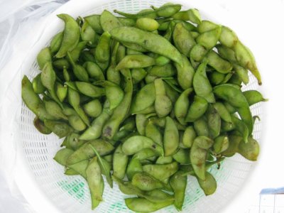 丹波産黒枝豆