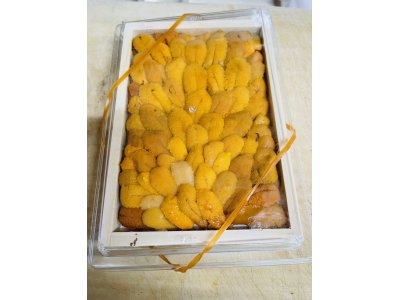 今日も元気に営業いたします