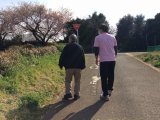 春ですね(^o^)
