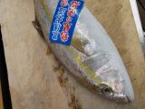 外の花も綺麗になりました