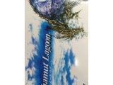 レアなゲームの商品情報