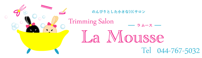 La Mousse　（ラ ムース）