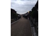 野球の影響は!?