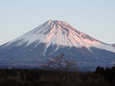 関節の痛み