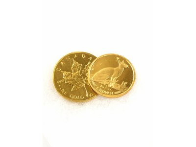 金プラチナ・ロレックス・シャネル・ヴィトン・エルメス ・ 時計・バッグ・チケット 金券 商品券 茅ヶ崎 寒川 湘南 高価買取!大黒屋 茅ヶ崎 エメロード店 金券ショップ ブランド スマホ ゲーム機 買取