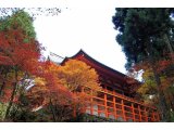 NO JOURNEY NO LIFE 第3弾 No.35 延暦寺横川