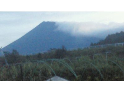 今日の富士山