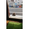 日向ぼっこ♪♪