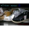 Winter　model
