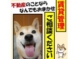 賃貸管理、お任せください！