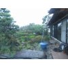 6/7【AM6時の雨】