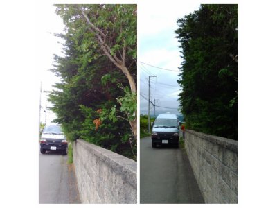 南区澄川一軒屋にて枝切り剪定草刈り 札幌市白石区便利屋タクミ