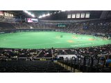 今年初ドーム