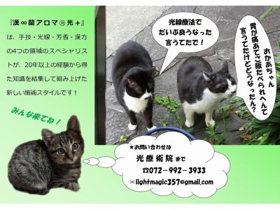 光療術院(ひかりりょうじゅついん)にゃんこ劇場