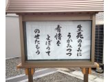 わさ接骨院新聞 第100号をいまから書きます