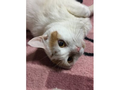 おはようございます。きょうも元気な笑顔でよろしくお願いいたします。