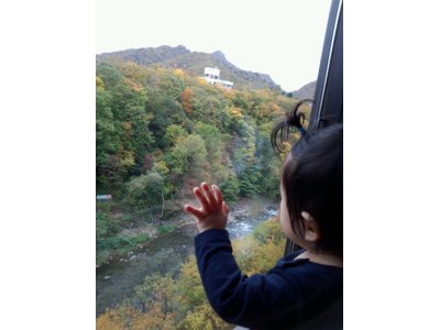 本日はお休み