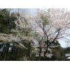 ２７日日光に登山に行ってきました