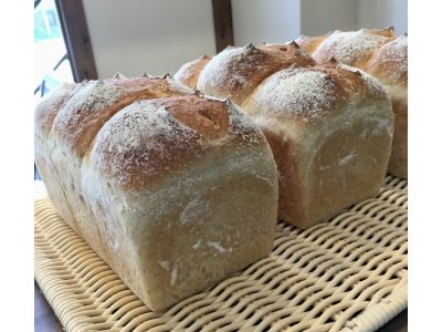 本日(11月6日(月))は『天然酵母食ぱん』の販売日