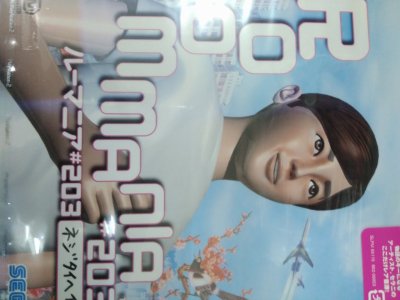 レアなゲームの商品情報