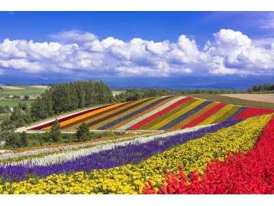 北海道団体旅行手配サービス