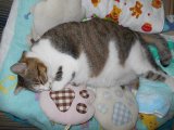 娘の出産が近づいているのですね。