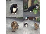 おはようございます。きょうも光線療法でハッピーな一日を。
